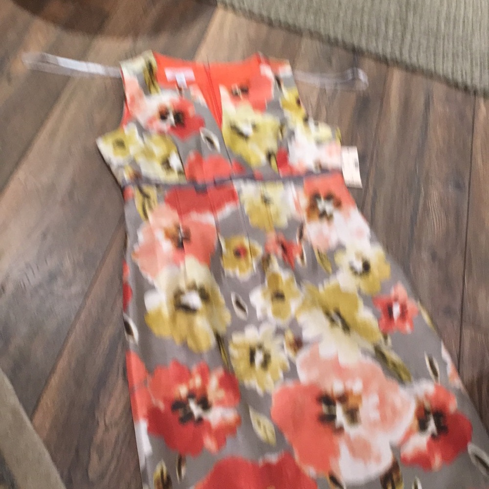 Sleeveless Sundress